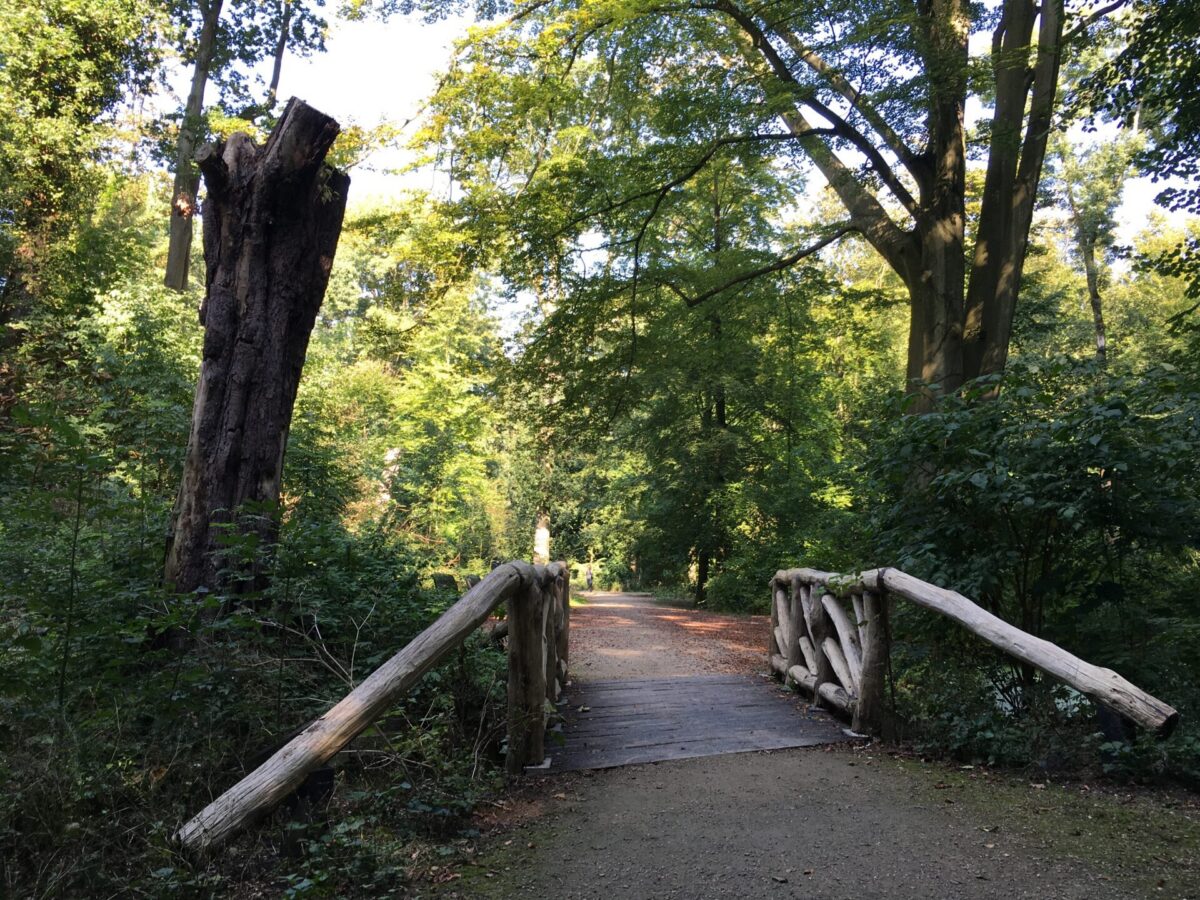 Alkmaarderhout Foto A Bakker